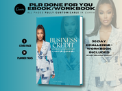 PLR Business Credit Ebook