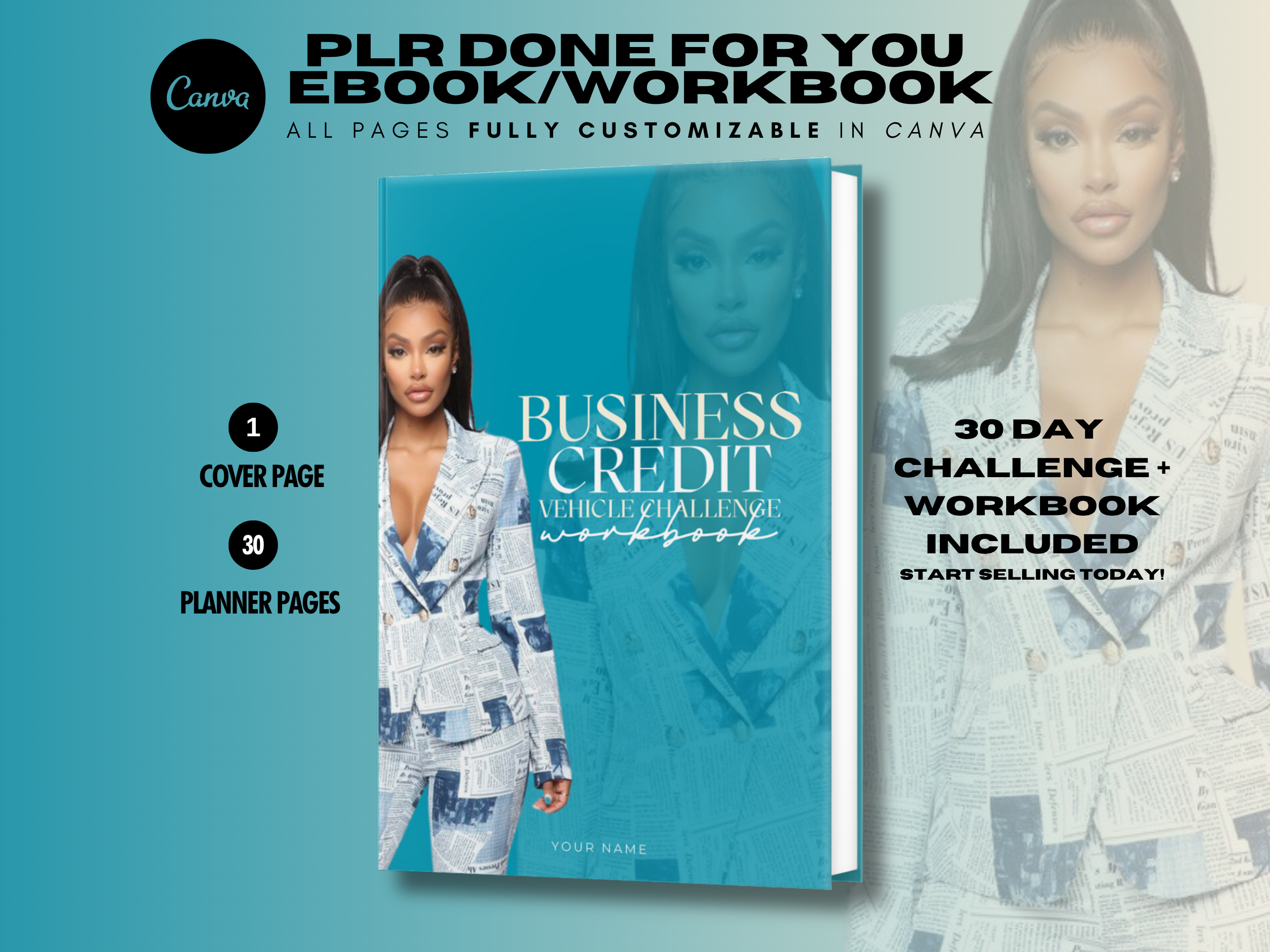 PLR Business Credit Ebook